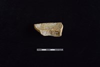 陶罐藏品圖，第2張